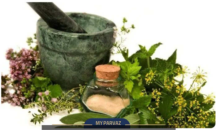 Medicinal plants of Armenia